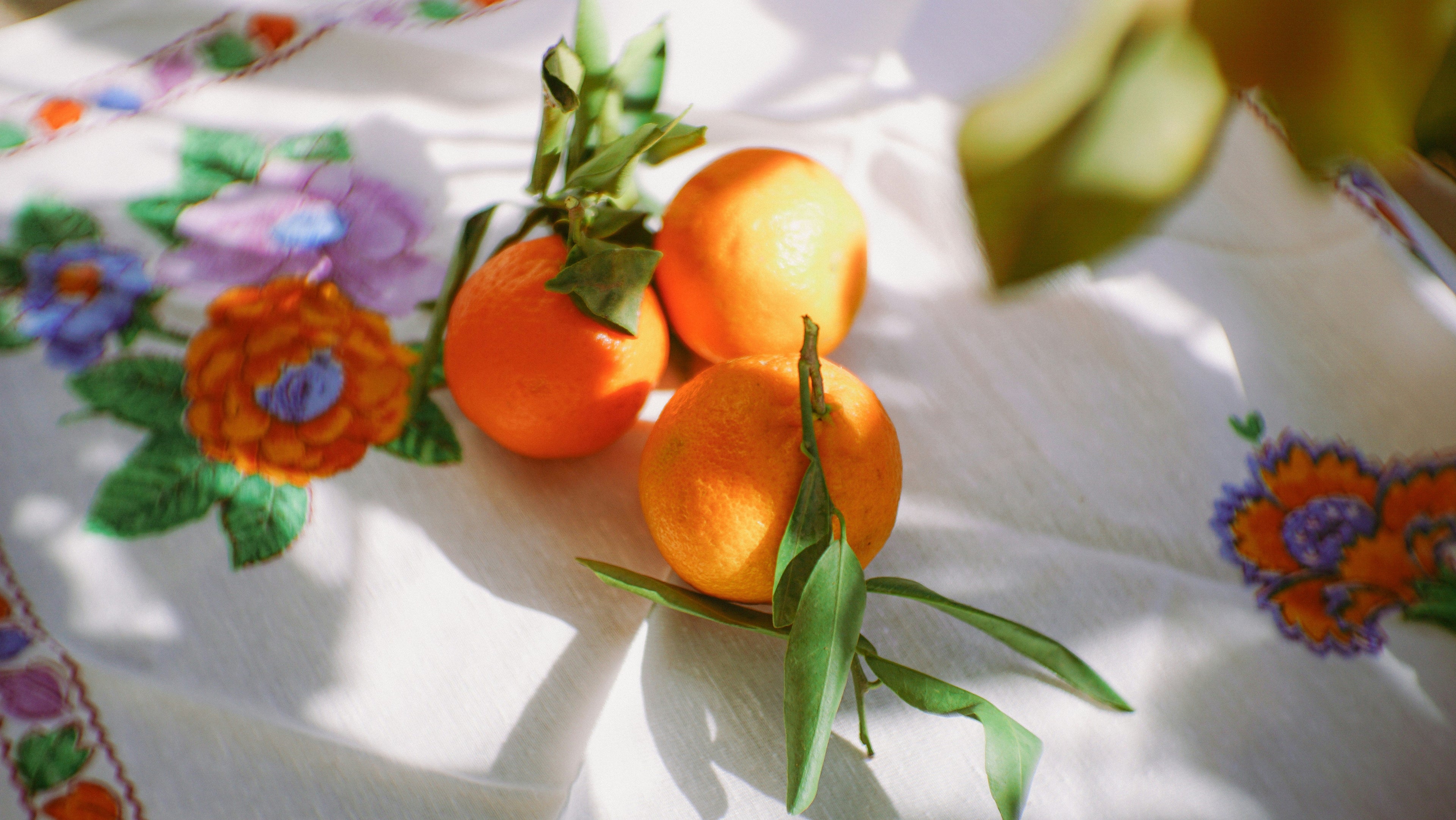 Common Tablecloth Buying Mistakes: Wrong Size, Shape, Material, and Care