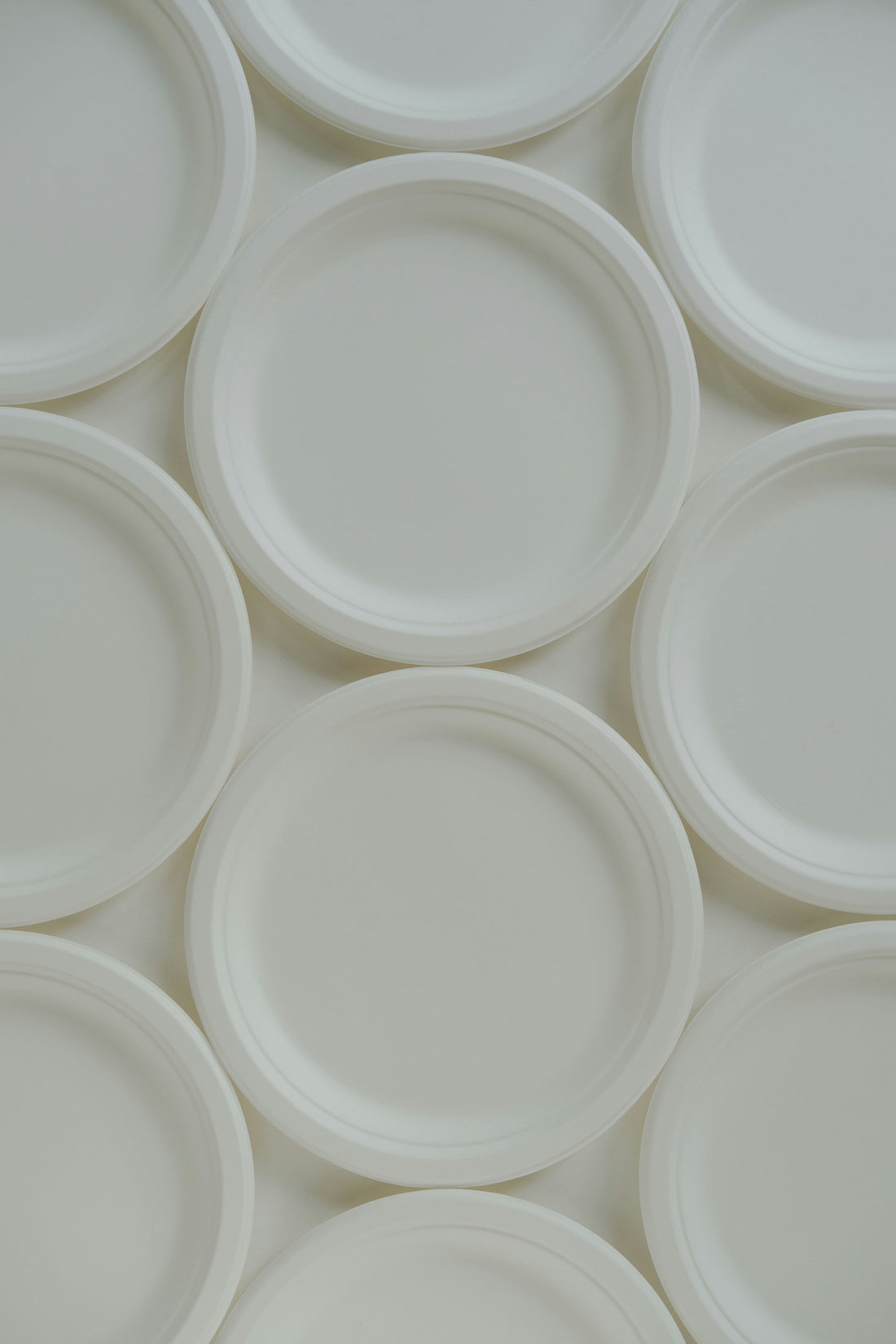 Plastic Dinner Plate Sets: Practical Uses for Family Meals, Parties, and Casual Entertaining