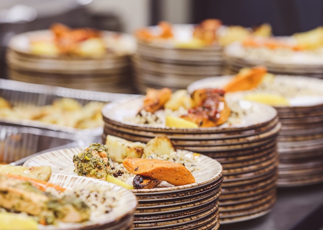 Best Disposable Plates for Outdoor Parties and Picnics