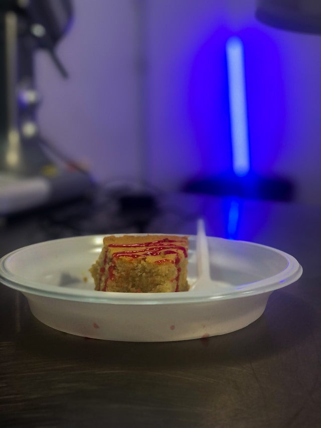Plastic Paper Bamboo and Compostable Plates Compared