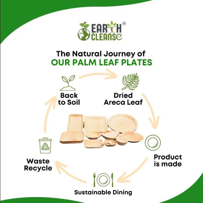 6" Round Palm Leaf Extra Deep Bowl Pack of 250 | 100% Natural, Compostable & Biodegradable Disposable Bowl | Eco-Friendly, Sturdy, Plastic-Free Tableware for Parties, Catering & Takeaway