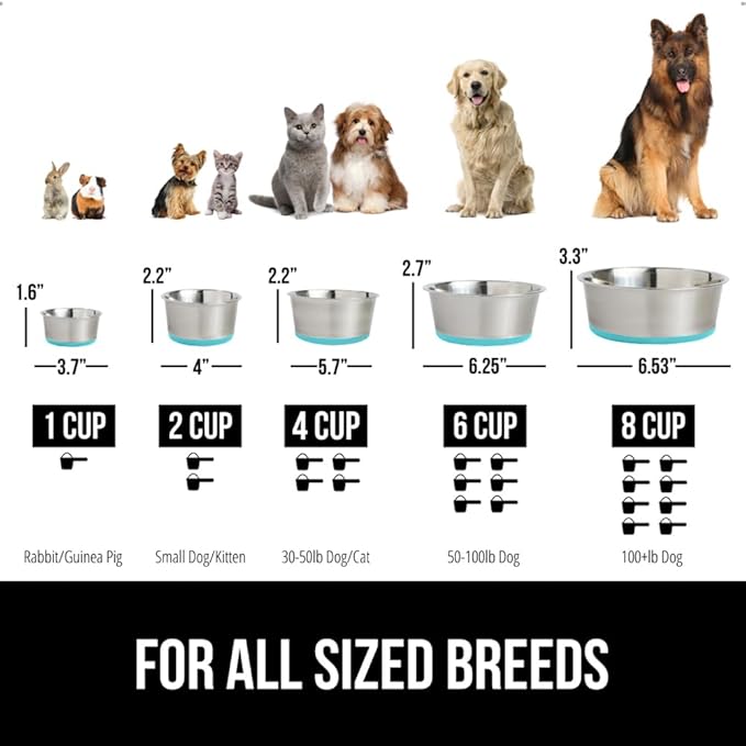 GORILLA GRIP Dog Bowl, Holds 2 Cups (16 fl oz), Heavy Duty Metal Food and Water Bowl for Feeding Dogs and Cats, Dishwasher Safe, Rust Resistant Stainless Steel, BPA Free Rubber Base, Turquoise