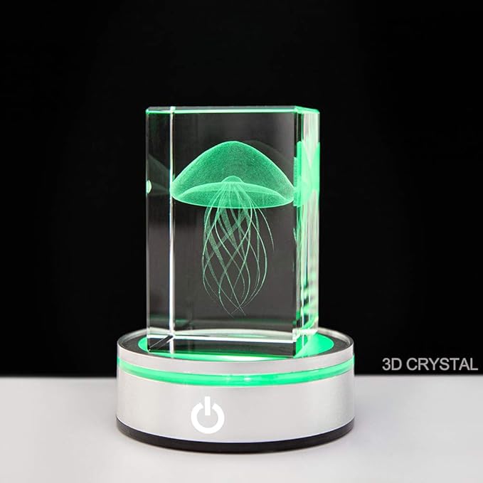 IFOLAINA LED Light Base Lighted Display Stand for Crystal 3D Photo Glass Art Tumbler RGB Multicolor Lighting Round Pedestal USB Battery Operated - Flat