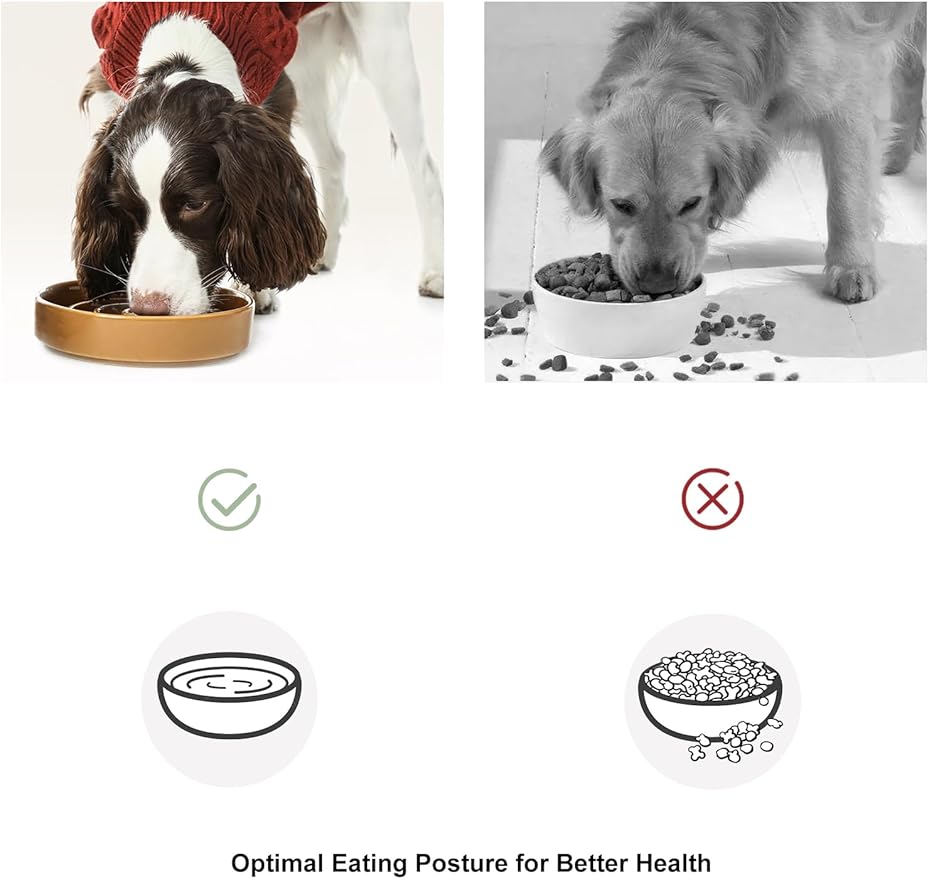 Ceramic Maze Dog Slow Feeder with Non-Slip Silicone Rim – Heavy-Duty Stoneware Bowl with Puzzle Pattern for Bloating & Obesity Prevention (Orange-S)