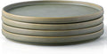 AmorArc Stoneware Dinner Plates Set of 4, 10.5 Inch Reactive Matte Glaze Ceramic Plates Set, Modern Dinnerware Dish set for Kitchen, Microwave, Dishwasher Safe