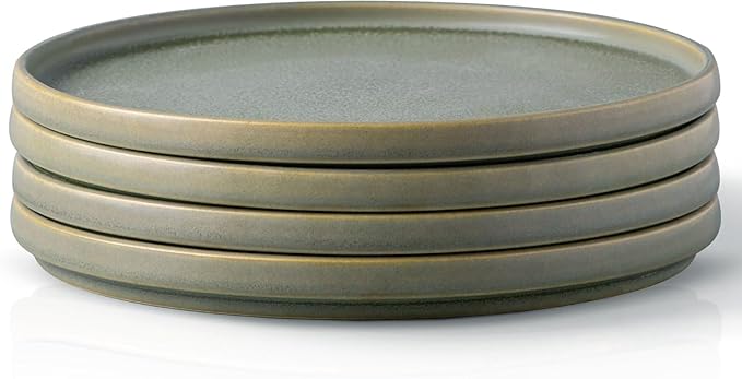 AmorArc Stoneware Dinner Plates Set of 4, 10.5 Inch Reactive Matte Glaze Ceramic Plates Set, Modern Dinnerware Dish set for Kitchen, Microwave, Dishwasher Safe