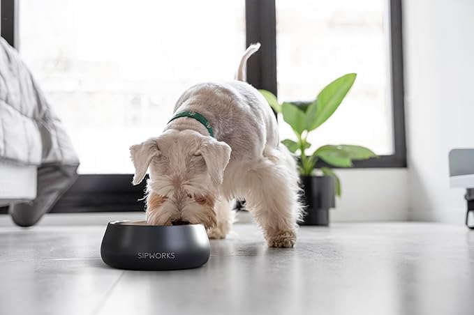 Sipworks Stainless Steel Dog Bowl – 32oz Weighted Metal Food and Water Bowls for Dogs and Cats with Non-Slip Base - Pet Bowls for All Breeds Sizes for Travel & Outdoor Play | Denim