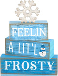 4 Pcs Winter Wooden Tabletop Decor Christmas Snowflake Tiered Tray Decor Rustic Wood Block Sign Gift Winter Centerpiece for Shelf Office Farmhouse Table Frozen Birthday Party Decoration
