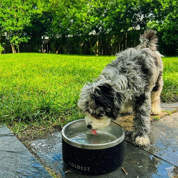 Coldest Dog Bowl - Anti Rust Metal, Non Slip, 3 Layers Insulated Stainless Steel Dog Bowls - Spill Proof & Heavy Duty - Water Bowl for Dogs, Cats & Pets, Dish Washer Safe (42 oz, Stardust Glitter)