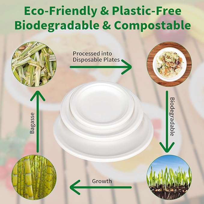 Aricsen 100 Pack 9 Inch Compostable Disposable Round Paper Plates, Natural White Biodegradable Sugarcane Bagasse PFAS-Free Eco-Friendly Dinner Plates for Party Wedding Picnic BBQ (100, 9 INCH)