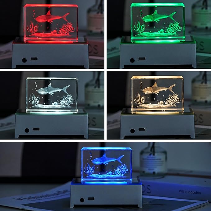 EUSTUMA LED Light Base Rectangle Display Stand In A Variety of Colors,Lighted Up Stand Color Changing Small LED for 3D Glass Crystal Art,Holiday Party Decoration. (Silver)