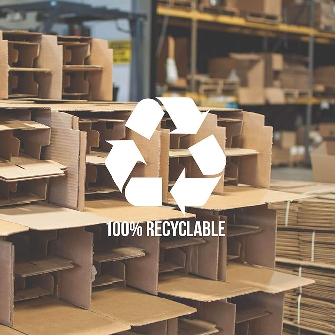 Rolf Glass School of Fish 8.5oz Stemless Champagne Flute Glasses | Toasting Flute Glasses | Lead-Free Glass | Etched Flute Glasses | Proudly Made in the USA (Set of 4)