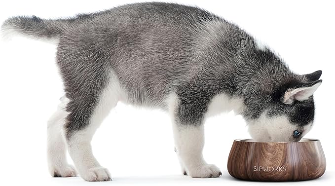 Sipworks Stainless Steel Dog Bowl – 32oz Weighted Metal Food and Water Bowls for Dogs and Cats with Non-Slip Base - Pet Bowls for All Breeds Sizes for Travel & Outdoor Play | Hot Pink