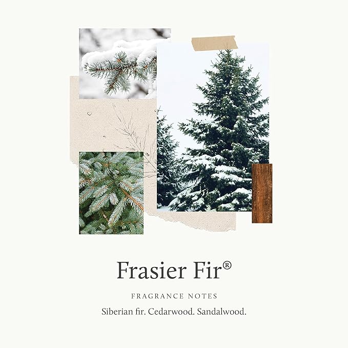 Thymes Frasier Fir Pine Needle Candle – Holiday Candles for Home Scented with Notes of Crisp Siberian Fir, Cedarwood & Sandalwood – Christmas Decor – Christmas Gifts for Women & Men (6.5 oz)