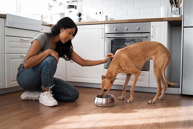 Sipworks Stainless Steel Dog Bowl – 32oz Weighted Metal Food and Water Bowls for Dogs and Cats with Non-Slip Base - Pet Bowls for All Breeds Sizes for Travel & Outdoor Play | Lavender Gray