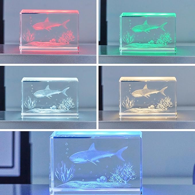 EUSTUMA LED Light Base Rectangle Display Stand In A Variety of Colors,Lighted Up Stand Color Changing Small LED for 3D Glass Crystal Art,Holiday Party Decoration. (Silver, Large)