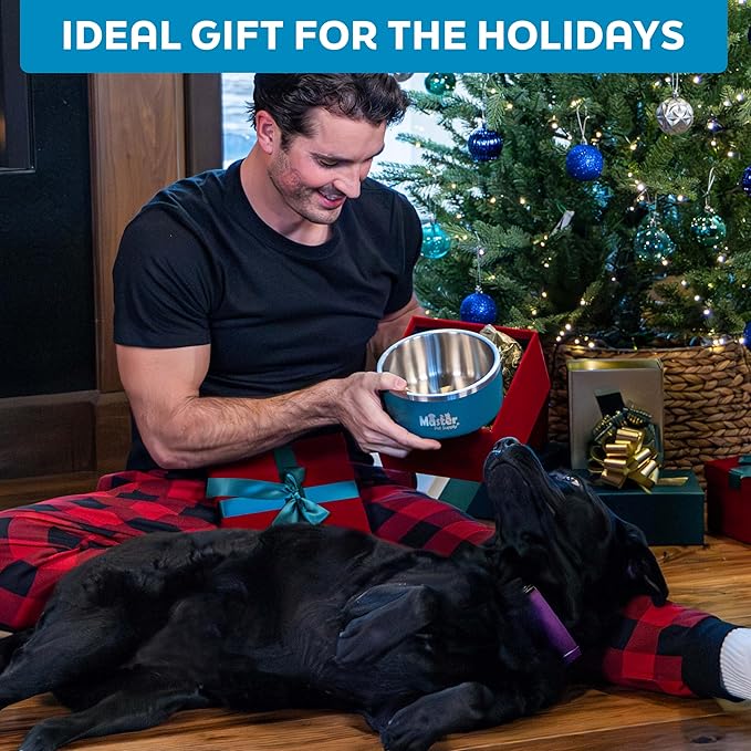 Master Pet Supply Stainless Steel Dog Bowls - 128 oz, Heavy Duty - Aqua Sky, Double Wall Extra-Thick Insulated, Non-Slip Pet Water Bowl for Dogs, Cats & Pets, Anti Rust Metal, Dish Washer Safe