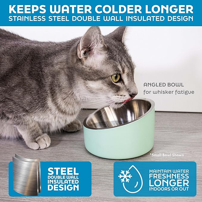 Master Pet Supply Stainless Steel Slanted Dog Cat Food Bowl - 16 oz Heavy Duty - Bone White, Double Wall Insulated, Non-Slip Elevated Bowl for French Bulldogs Pugs Cats, Anti Rust Dishwasher Safe
