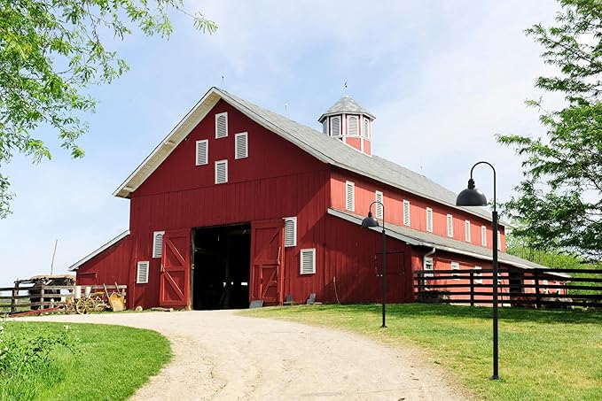Steel Lighting Co. Hollywood Bowl Light | Outdoor Wall Mounted | 15 inch Bowl Dome | 16 inch Gooseneck | Barn Light Made in America | Galvanized Exterior/Galvanized Interior