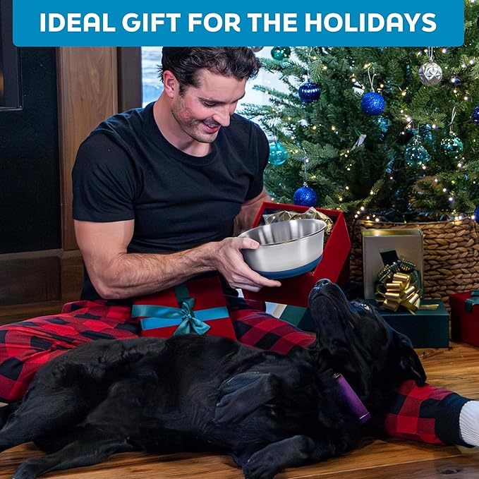 Master Pet Supply Stainless Steel Dog Bowls Set of 2 with Extra Thick Silicone Base - 8 Cup (64 oz) Emerald Sea, Non-Slip, Dishwasher Safe Metal Bowls, Pet Dog Food Bowl for Dogs, Cats, Anti Rust