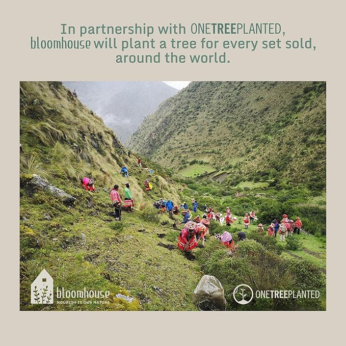 Bloomhouse - Two Time Oprah's Favorite Things Winner - Palermo Sun Double Bowl Stoneware Reactive Glaze Plates and Bowls Dinnerware Set - Paprika Red, Service for Four (16pcs)